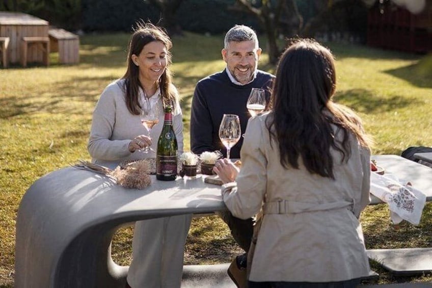 Penedès Wine Corpinnat and Cava Tour Exclusive Wine Experience 4