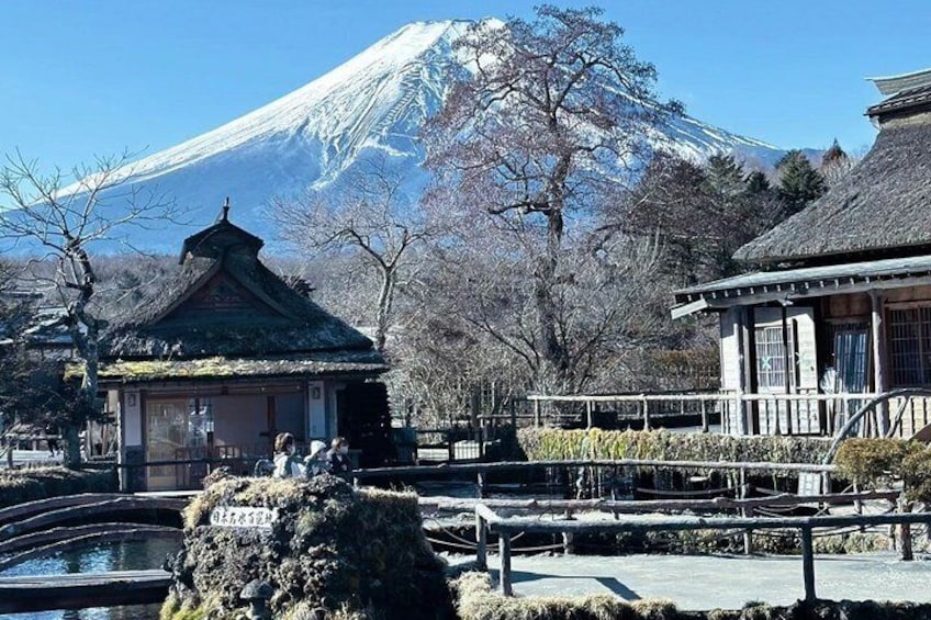 Mount Fuji Lake Kawaguchi and Matcha Experience 2