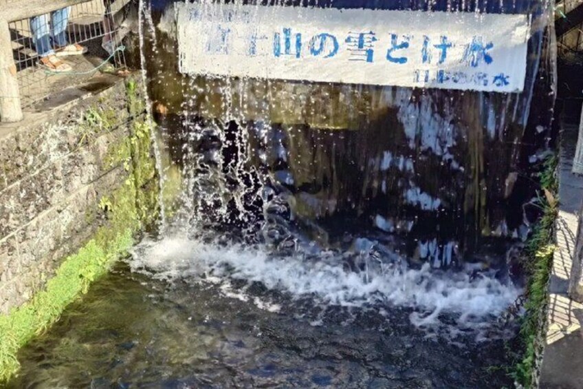 Mount Fuji Lake Kawaguchi and Matcha Experience 5