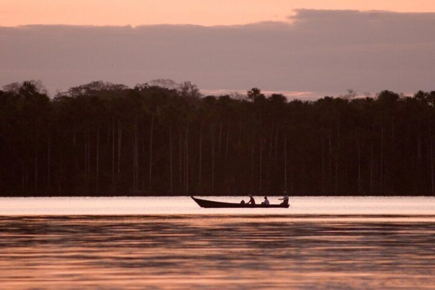 Full Day Chuncho Macaw Clay Lick Tour in Tambopata 5