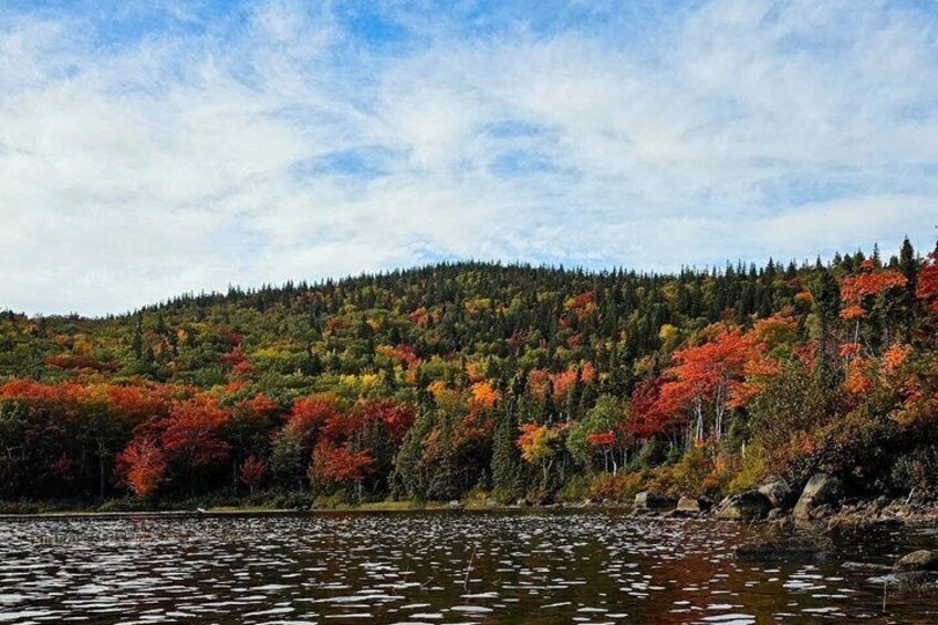 A lake with autumn foliage, a forested hill, and a clear sky. 3
