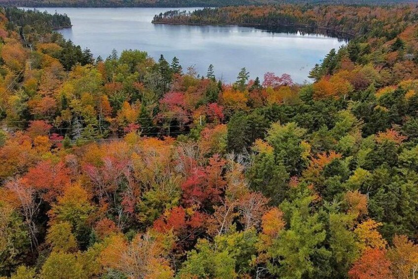A lake surrounded by autumn-colored trees. 2
