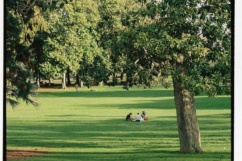 A park with a large tree, a grassy field, and people sitting on the grass. 3