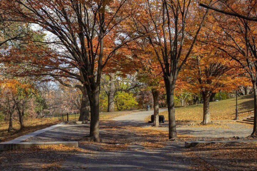 Prospect Park Boathouse Walking Tour Experience 2