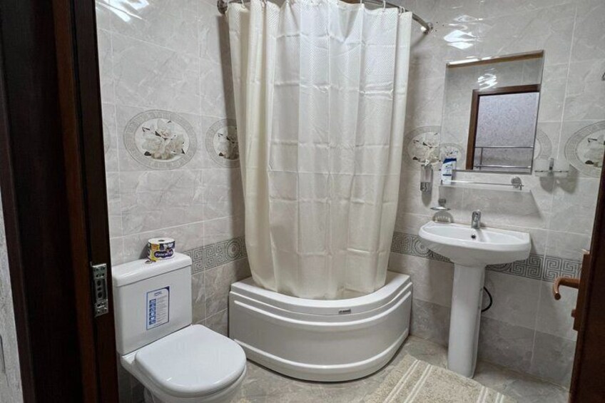 A bathroom with a toilet, a shower curtain, a sink, and a mirror. 2