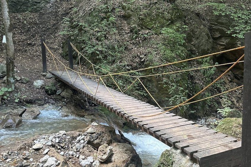 A wooden bridge over a stream with ropes for support, surrounded by rocks and greenery. 5