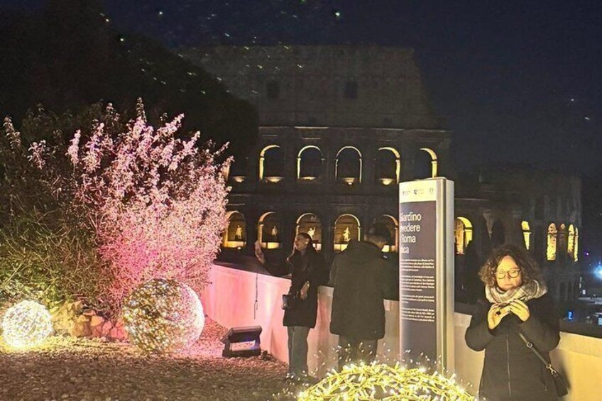 A nighttime scene with illuminated arches, a pink flowering bush, and a signboard. 4