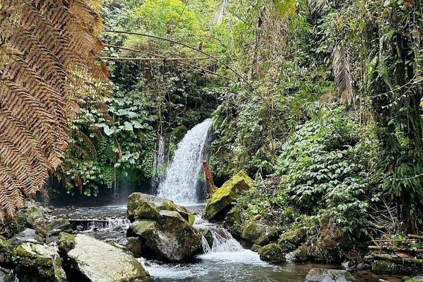 A waterfall surrounded by lush greenery and rocks. 3