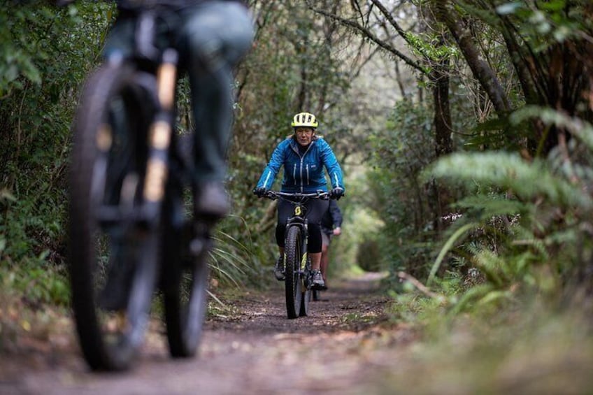 A person riding a bicycle on a forest trail. 5