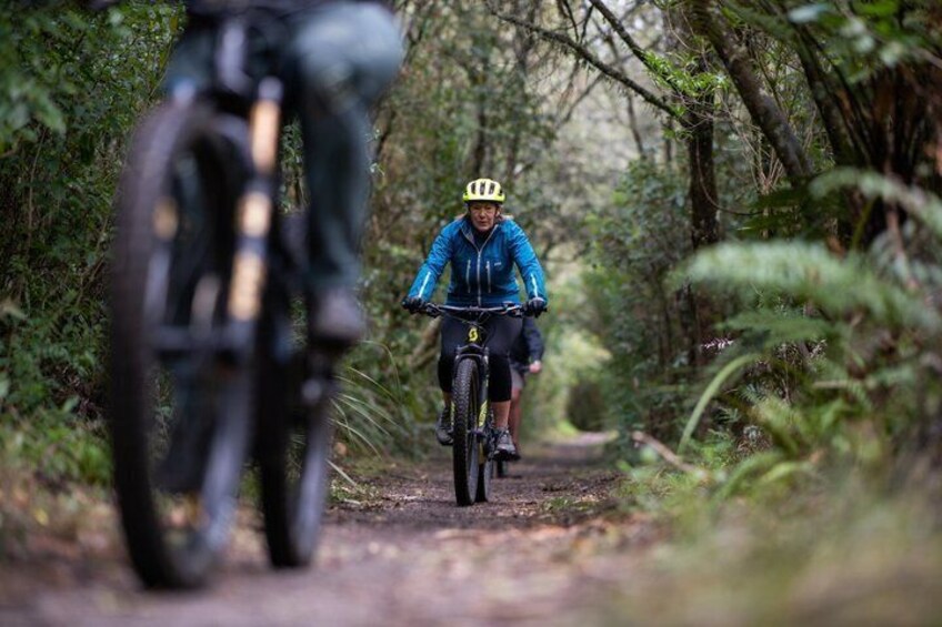 Guided Geothermal E-Bike Tour on the Huka River Trail 4