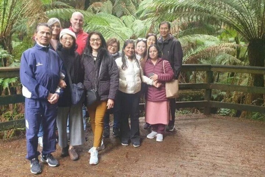 OTR.Melbourne Reverse Great Ocean Road Day Tour Beat the Crowds 5