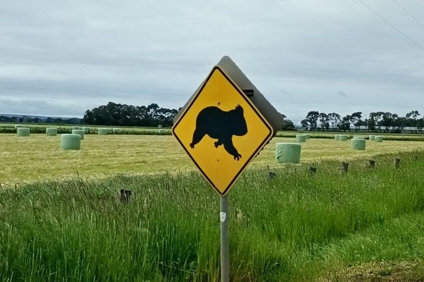 A wildlife crossing sign with a kangaroo silhouette in a rural field with hay bales. 5