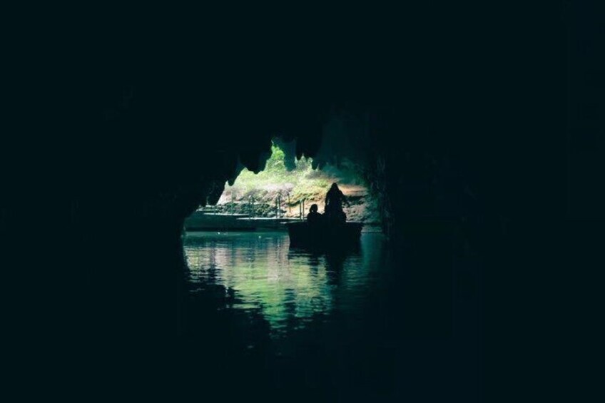 From Hamilton Waitomo Glowworms Blue Springs and Kiwi House 4
