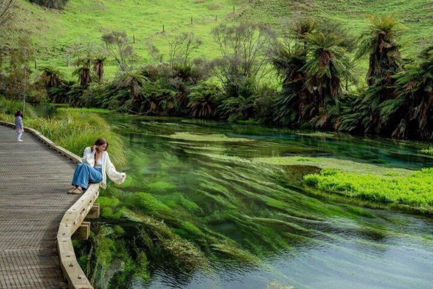 From Hamilton Waitomo Glowworms Blue Springs and Kiwi House 1