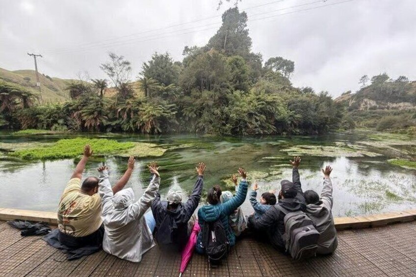 From Hamilton Waitomo Glowworms Blue Springs and Kiwi House 2