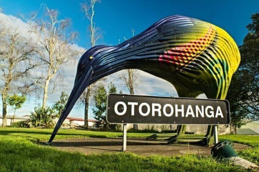 From Hamilton Waitomo Glowworms Blue Springs and Kiwi House 5
