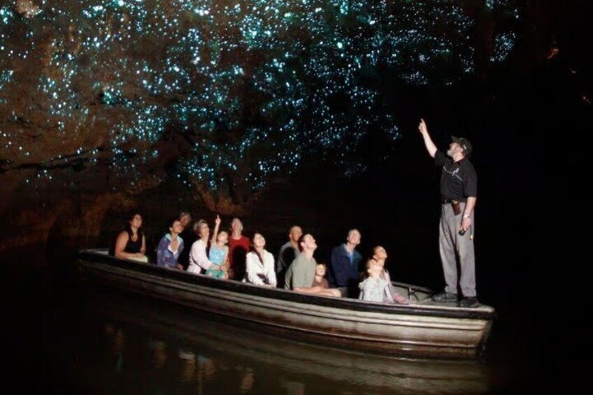 From Hamilton Hobbiton Waitomo Caves Small Group Tour 2