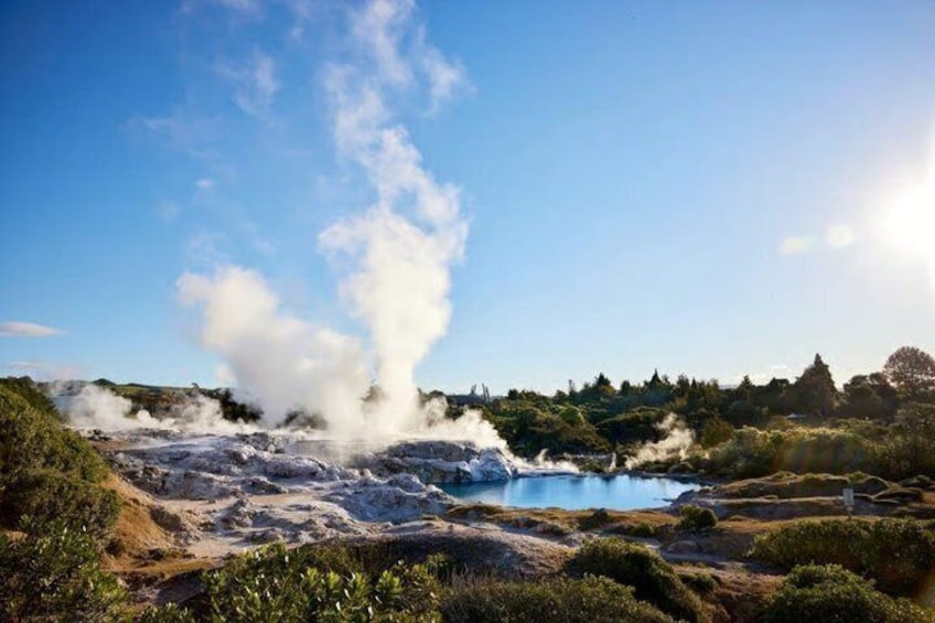 A geothermal area with steam vents, a small pond, and surrounding vegetation. 5