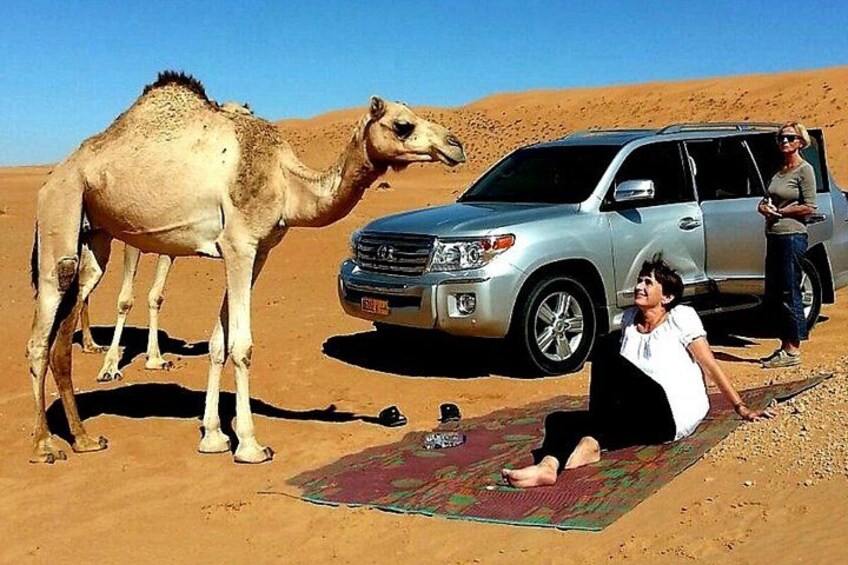 A camel, a silver SUV, and a person lying on a mat in a desert. 4