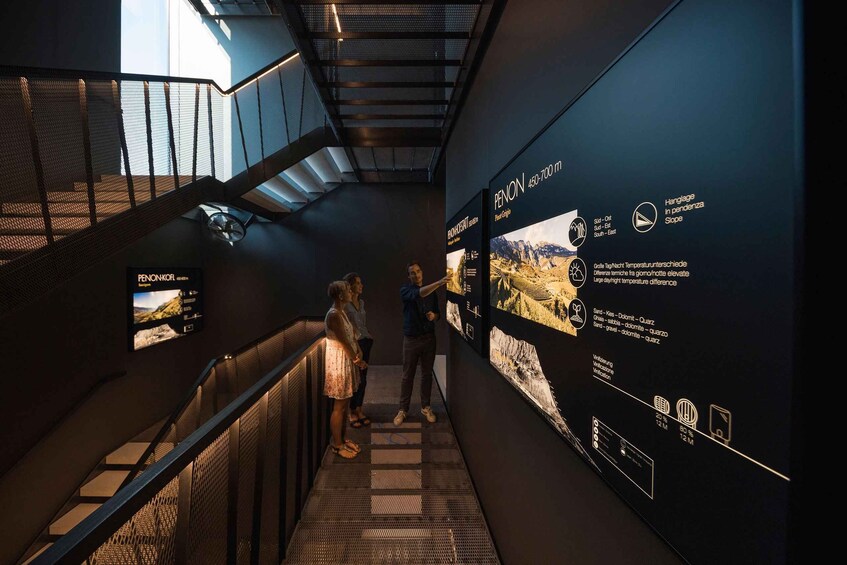 A staircase with metal railings and informational displays on the walls. 3