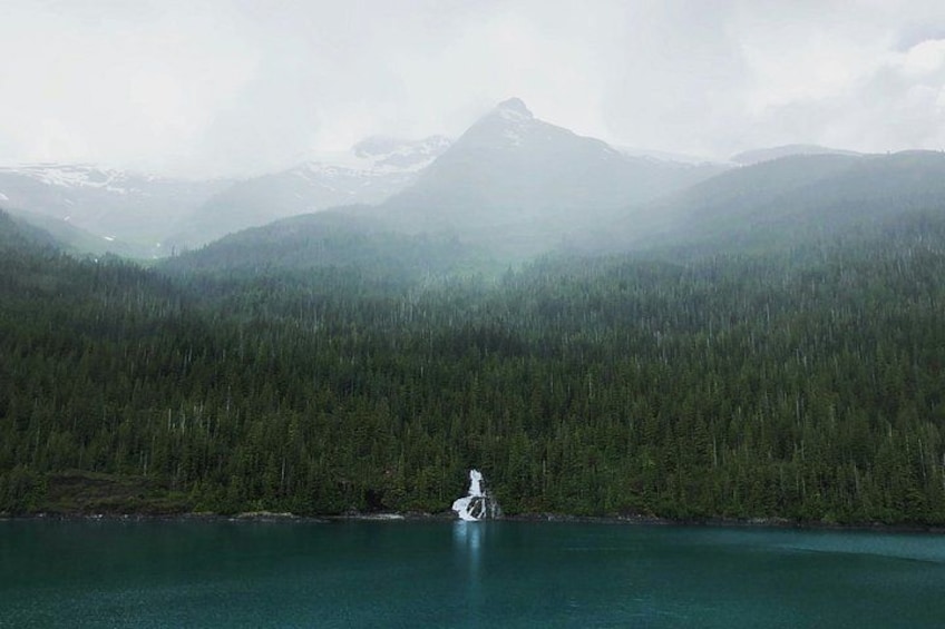 Un lago rodeado de un bosque denso y una montaña al fondo. 3