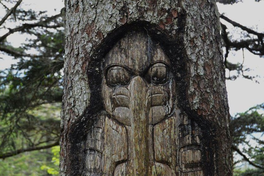 Un árbol con rostro tallado. 4