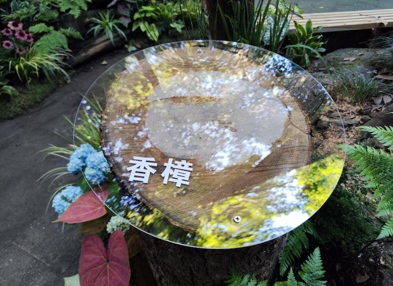 Picture 11 for Activity Hangzhou Yunqi Bamboo Trail Admission Ticket 5