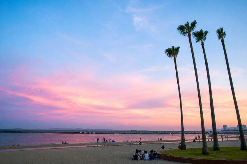 Una playa con palmeras, un atardecer y gente relajándose. 4