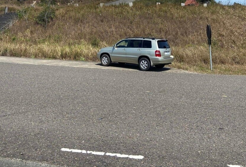 A silver SUV parked on a road with a white dashed line. 4