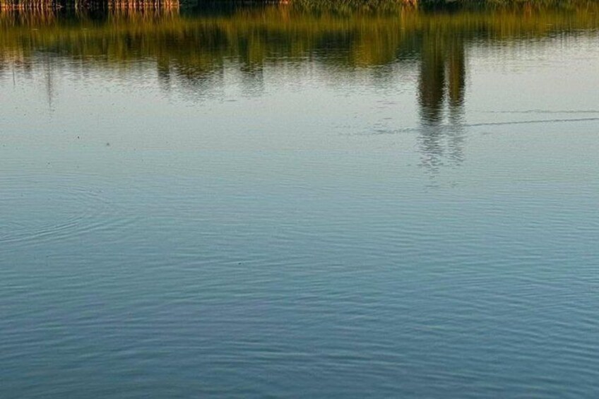 A calm lake with reflections of trees and a clear sky. 1