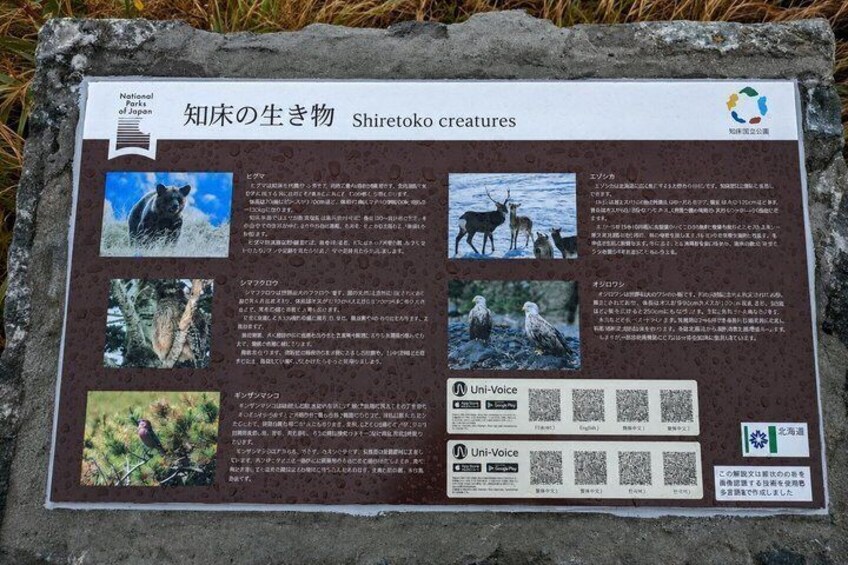 Hokkaido 6 Day Private Tour With Nature and Scenic Wonders 3