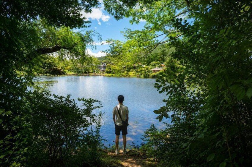 A person standing by a calm lake surrounded by dense greenery. 5