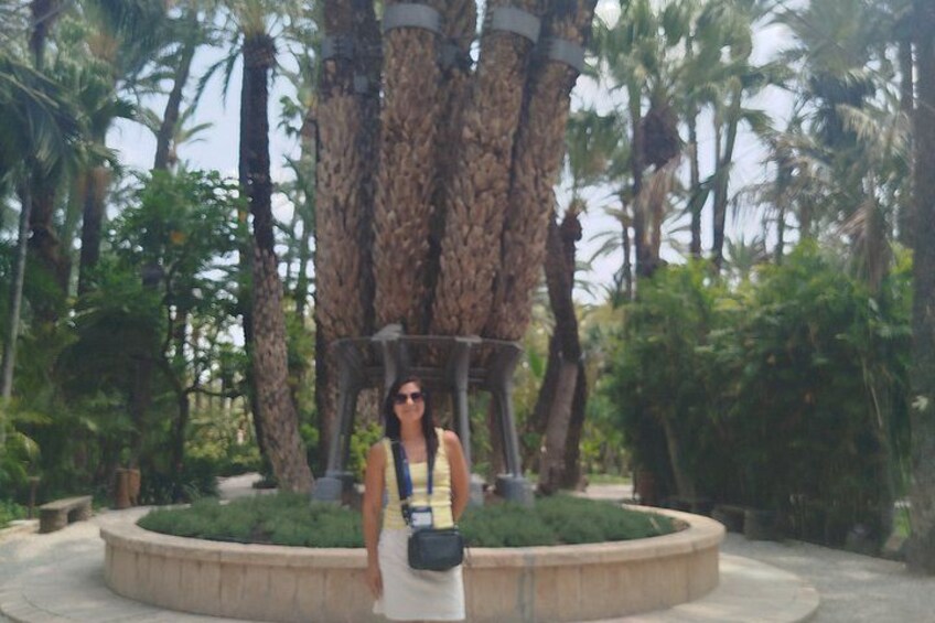 Elche Walking Tour UNESCO Palm Grove Heritage Local Traditions 4