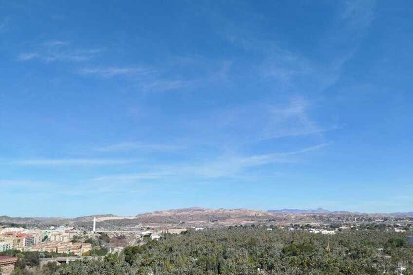 Elche Walking Tour UNESCO Palm Grove Heritage Local Traditions 2