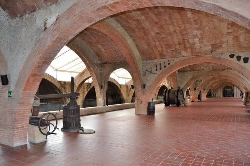 Customizable Wineries Tour Penedes and Priorat 2