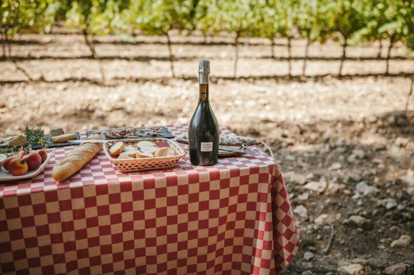 Customizable Wineries Tour Penedes and Priorat 4
