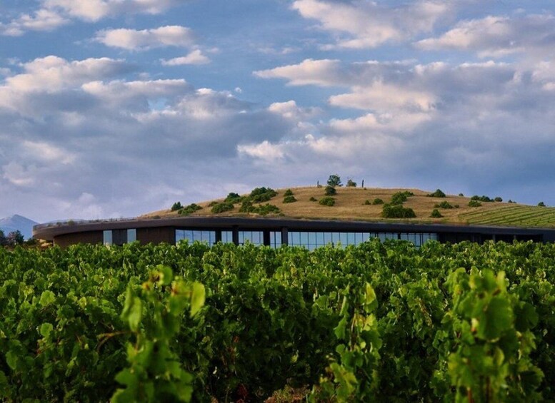 Picture 8 for Activity Bulgaria: Wine Tasting & Tour, The Enologist's Choice 5