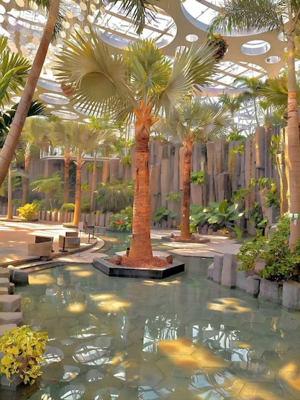 A tropical indoor garden with palm trees, a water feature, and a glass ceiling. 4