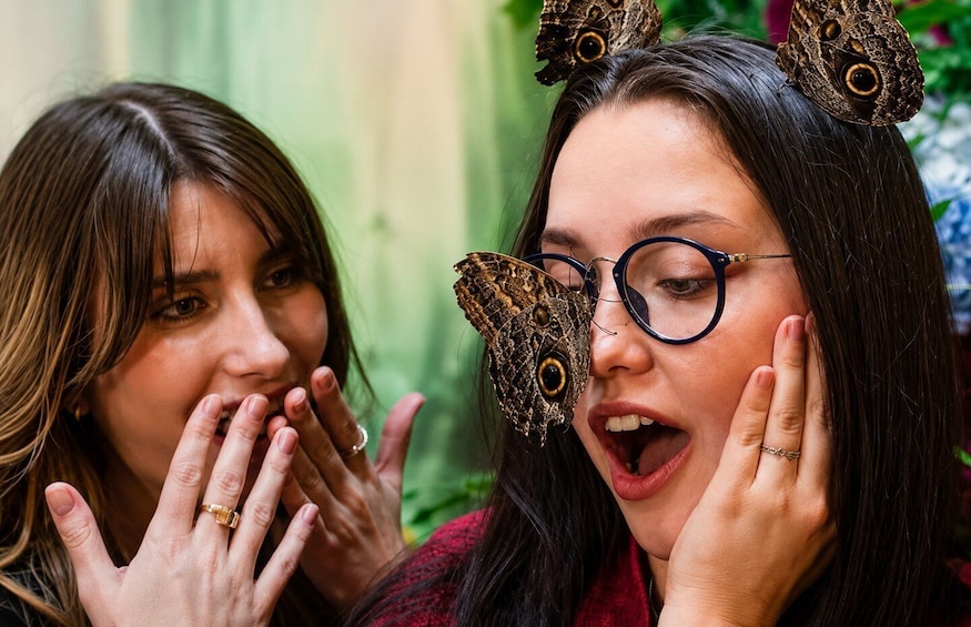 Picture 3 for Activity Zakopane: Butterfly House Entry Ticket 4