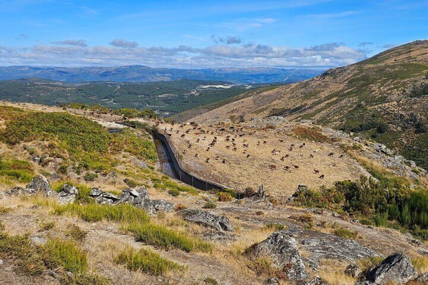 A mountainous landscape with a winding road, rocky terrain, and sparse vegetation. 5