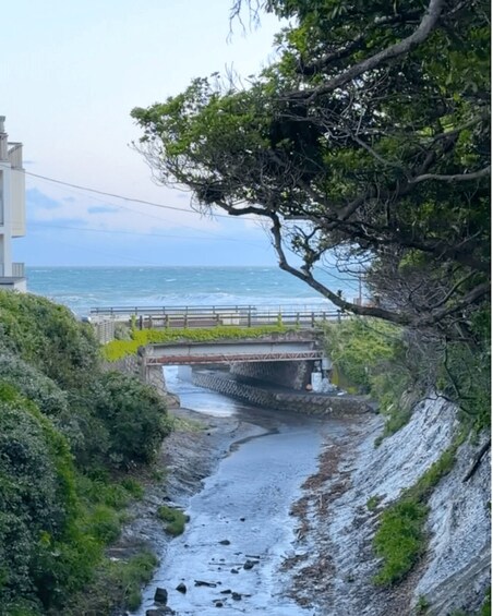 Picture 11 for Activity Kamakura: Guided Cycling Tour to Enoshima with Bike Rental 3