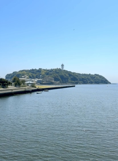 Picture 5 for Activity Kamakura: Guided Cycling Tour to Enoshima with Bike Rental 5
