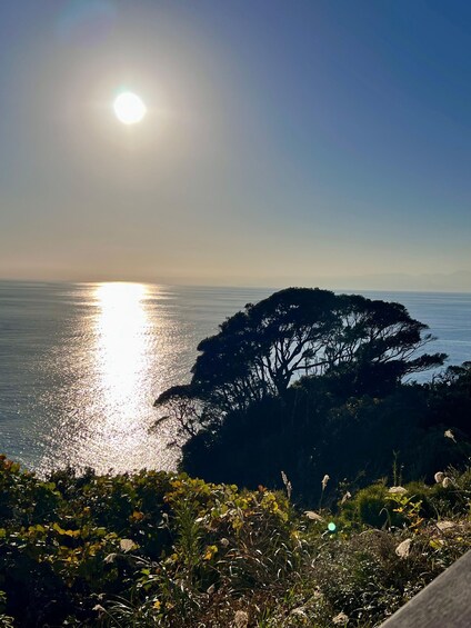 Picture 14 for Activity Kamakura: Guided Cycling Tour to Enoshima with Bike Rental 4