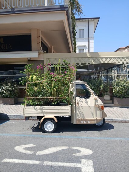 Picture 3 for Activity Forte dei Marmi, Tour and Shopping Experience 2