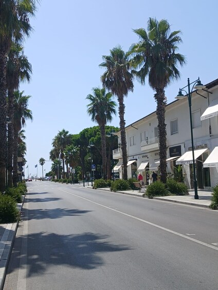 Picture 4 for Activity Forte dei Marmi, Tour and Shopping Experience 4