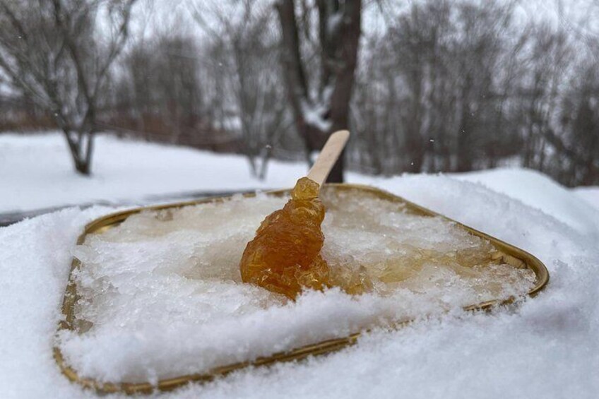 A snow-covered landscape with bare trees and a glass dish containing a single orange-colored object on a stick. 5