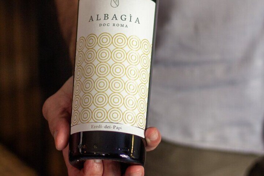 Discover Frascati Wine Tasting with a Sommelier and Snacks 4