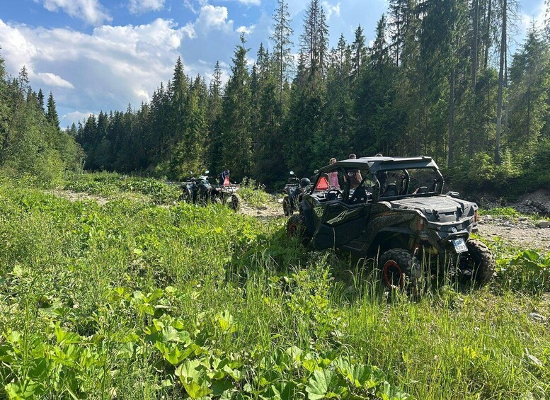 Off-road vehicles in a forested area with dense trees and greenery. 5