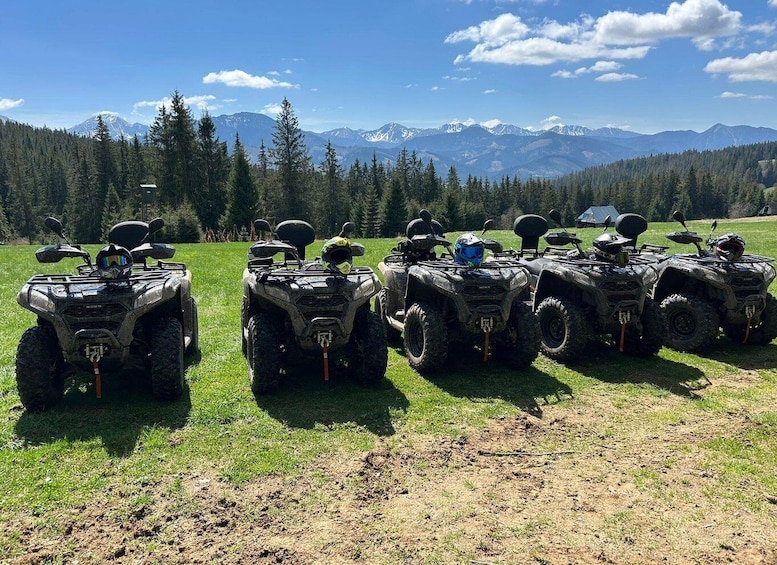 Four all-terrain vehicles parked on grass with a mountain range in the background. 4