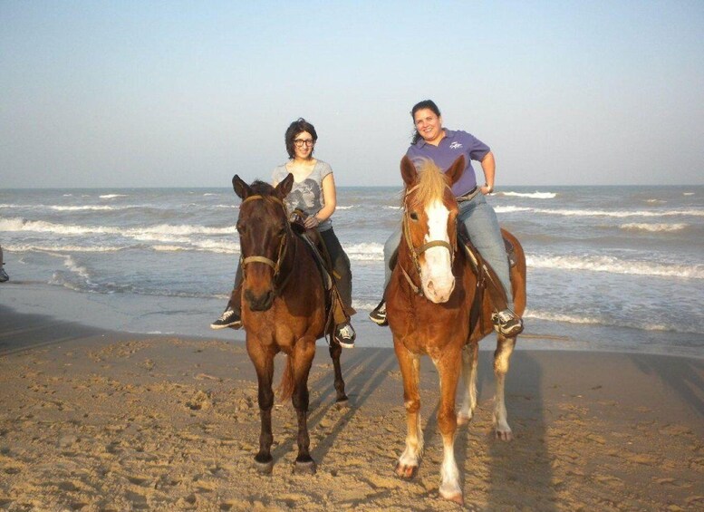 Two people riding horses on a beach with waves in the background. 4